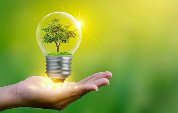 Energy-conservation-definition-lightbulb-energy-image (1)